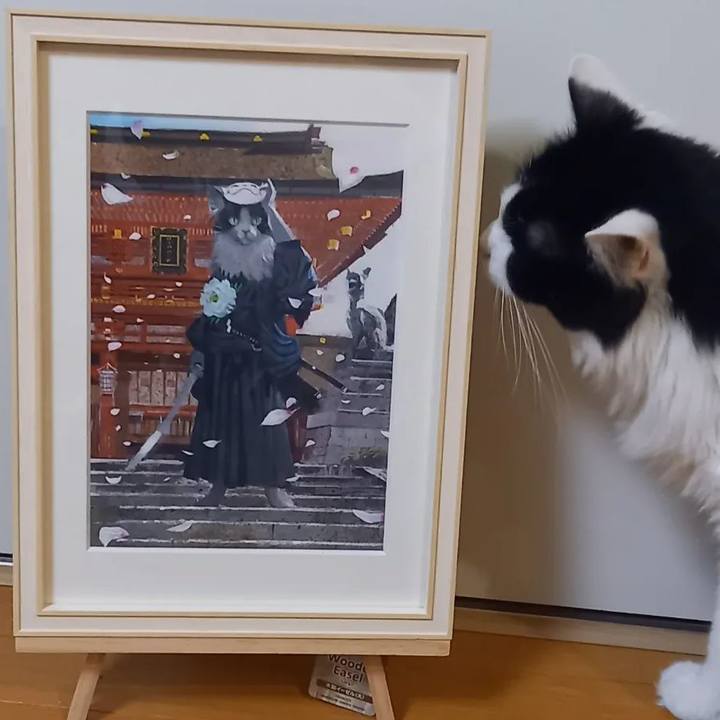 B941a6c6 e492 4c9b ae84 ab059fd86753 1693519558662