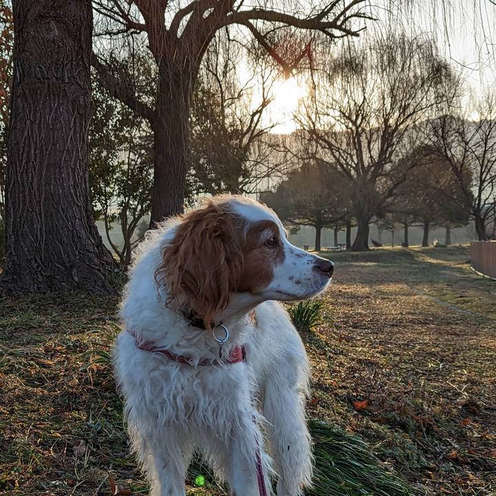 B941c3fb b523 4c24 a8eb 9b9ef174b012 1677632121502