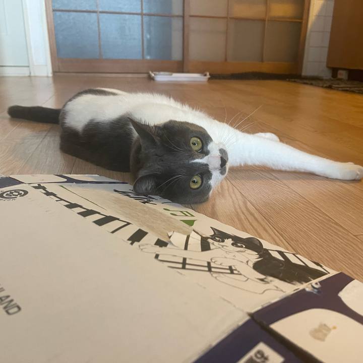 B94200d7 a2dc 4fe5 ae3a 3dd3c06aba25 1664238429013