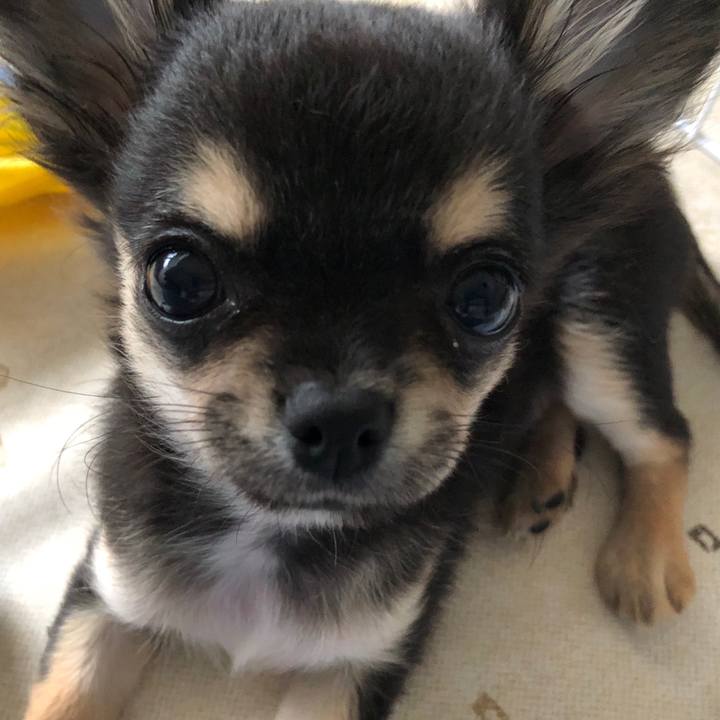 B9422092 aa16 4441 86ab 8e5cd9675160 1536308225190