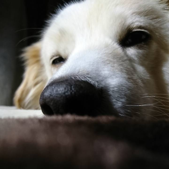 B94237f5 203b 4296 a244 5e12341e31b8 1519939909479