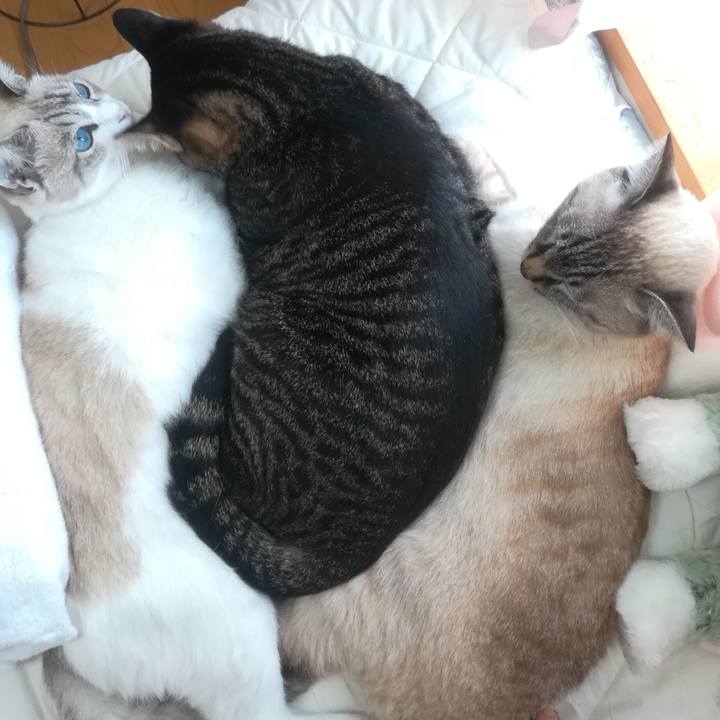 B9424172 081f 4b5b bb8d e31423b0229d 1538286383551