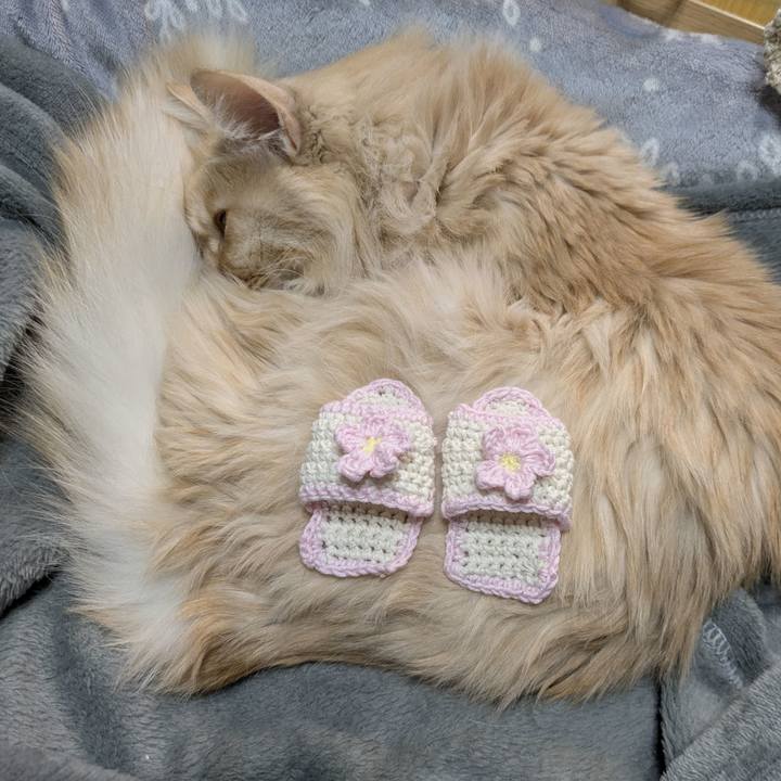 B9424d68 0bb7 496a bf3e f9ea1e09b022 1770915185148