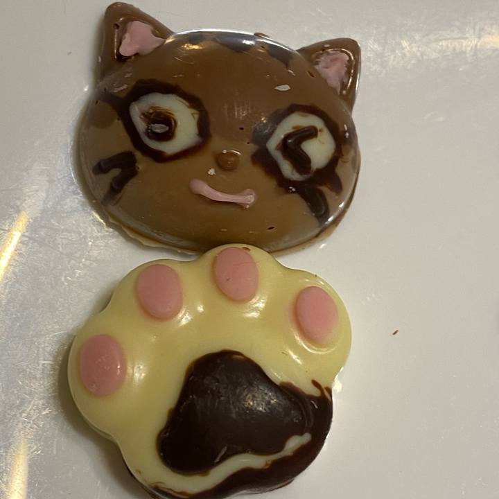 B94271a0 adc3 4f40 98f6 6c2b47e5c87b 1613561716808