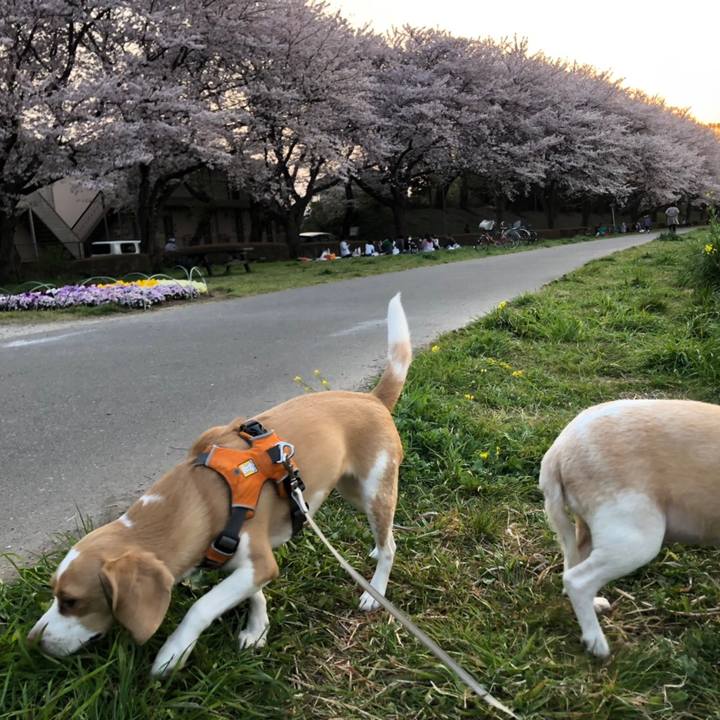 B9428cea 6c48 4e6a 9816 77e71b8e1b86 1554711332163