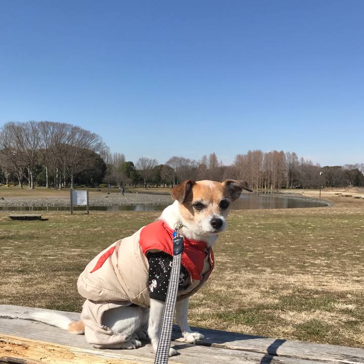 B942c0b9 fa3e 441e 88e1 33f44aca7226 1581311234013