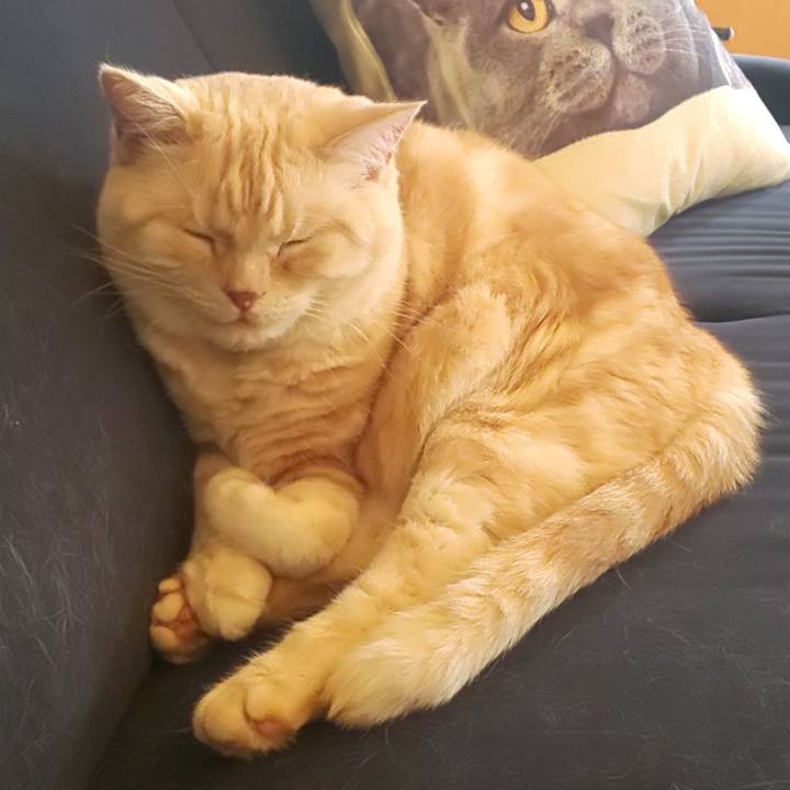 B942fa8a 021a 4203 97a2 4b4562cc48e2 1574651548291