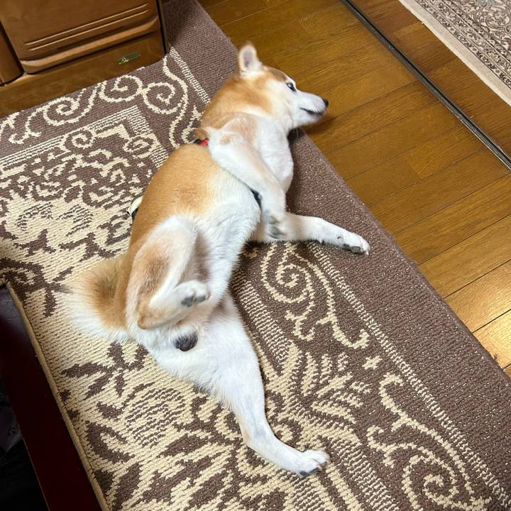 B9430973 a243 4e7b aed1 7fee1f241523 1723374816180