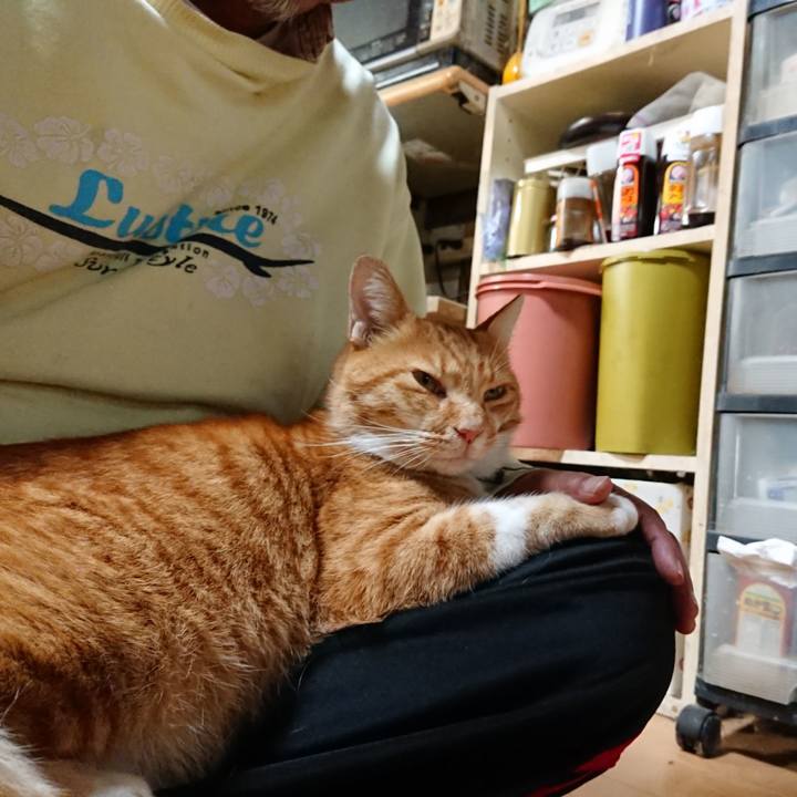 B9431be4 6eb3 4d3f 8b31 315f25a71852 1601089625736