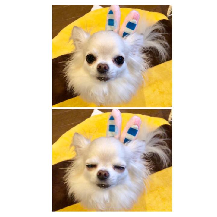 B9431bf8 f81e 465e 990d 6f0b54ea5d87 1549802443435