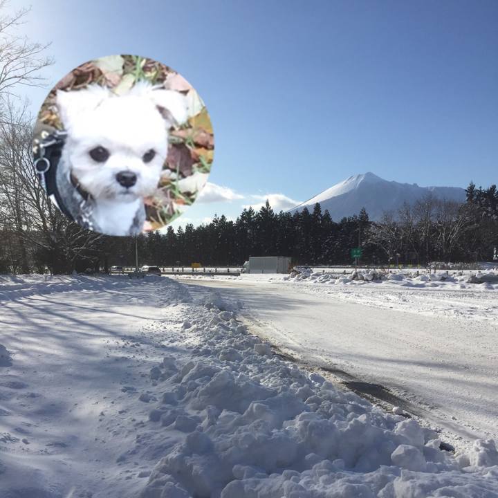 B943595b 424f 4e4f 98df 853d3080b389 1511781050556