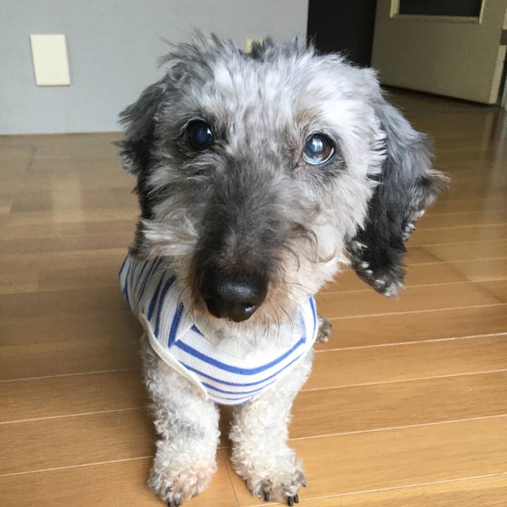 B9436fdc 1147 42dd 946a 90dd9e618931 1694342940245