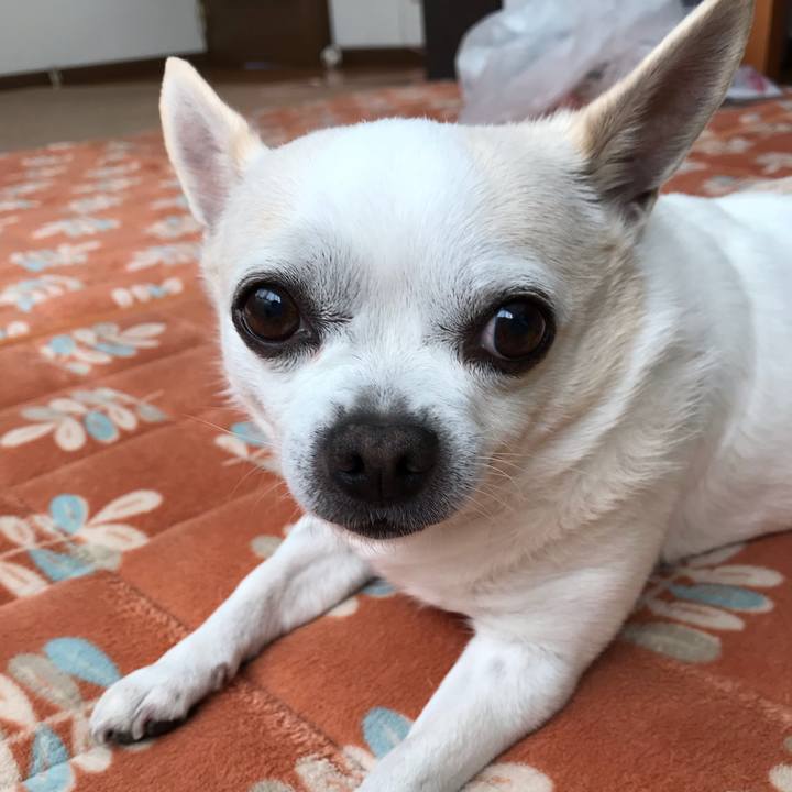 B9438dfc f6f3 41dd 88a8 ce7aa184fe50 1550238727242