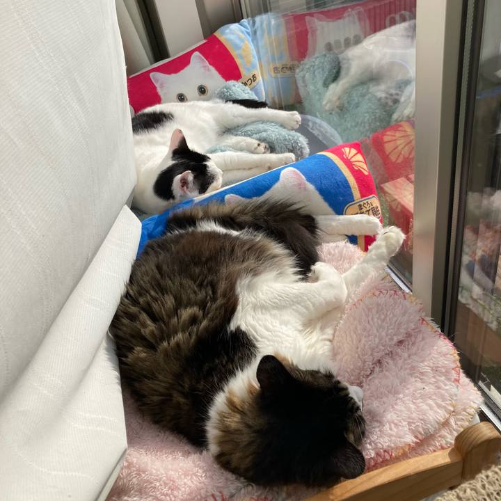 B943a233 35ac 4b52 b7a5 20f97a6405c3 1764213005602