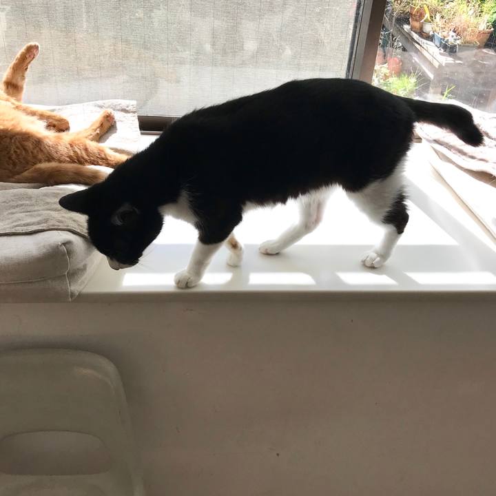 B943b451 ad8c 4127 8599 ea7001078418 1509682538950