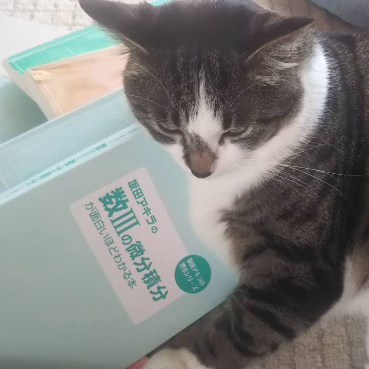 B943b8c5 ae9c 4de9 91b7 72ef7fd8977e 1623287354064