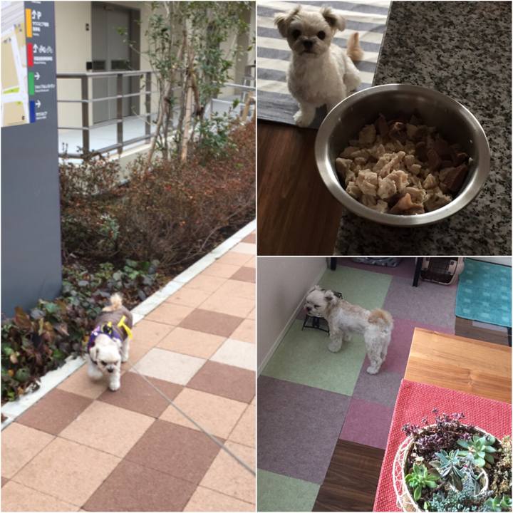 B943ef6c 8ea4 4996 8cfc 29ba47152e2c 1516436472876