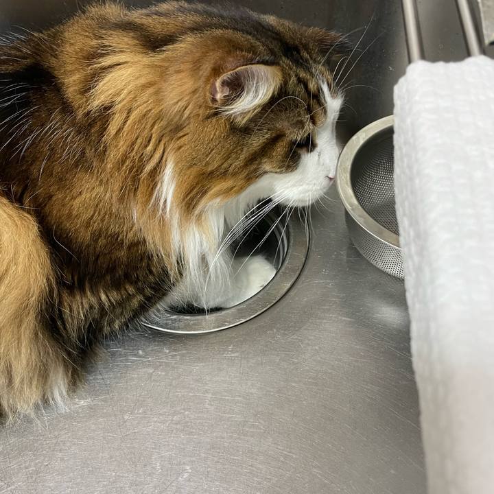 B9440107 1935 4d27 b61f 060626501a67 1738874664577