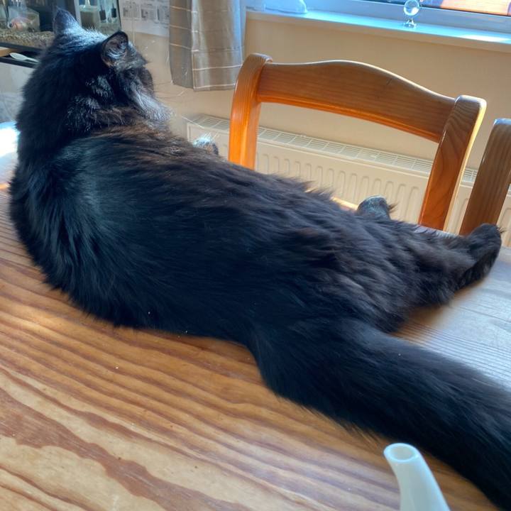 B944059f 2d67 4e04 9f6e 3cb4d93044e8 1582847776821