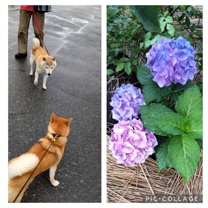 B9440cbd 51a1 4281 9fa0 932f464174a3 1687816961509