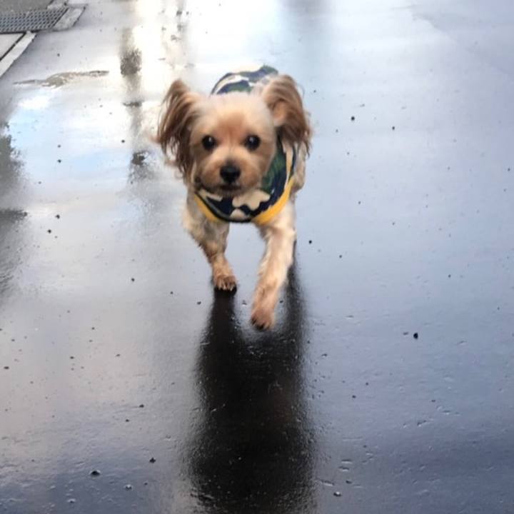 B9446110 56cb 44b8 821f 1fe1671fe6ba 1568973642662