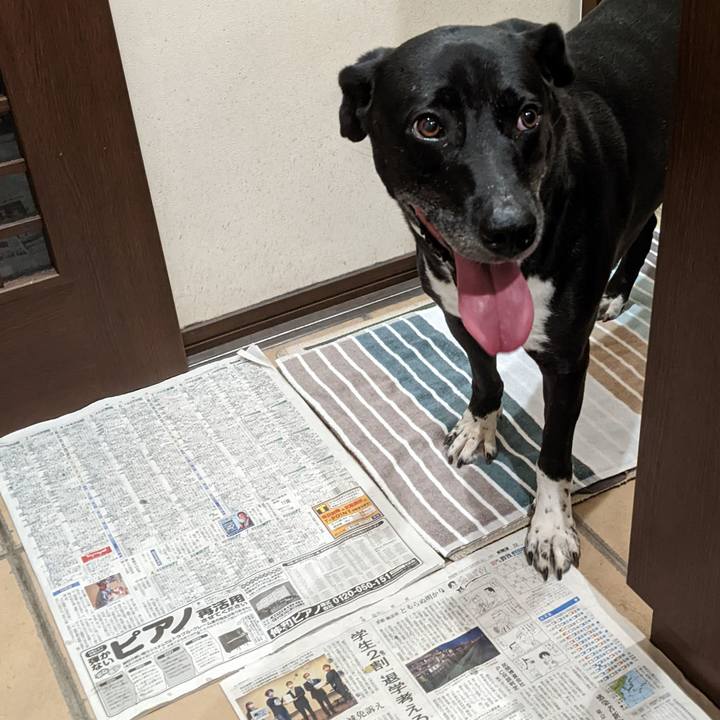 B944ac96 b6db 4631 bc50 5315ad57fbd6 1656156019114