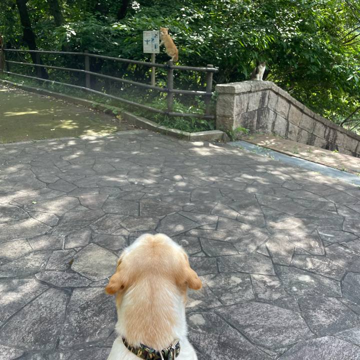 B944d16b 2bc5 4013 8948 acf653e12f38 1654132554223