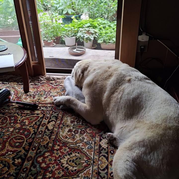 B944d36e 6e02 4bf8 894a 784fd8372e99 1747992853724