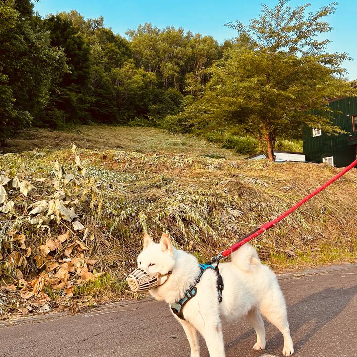 B944ff4f 5f4c 4847 921a 891f9017948e 1720907542933