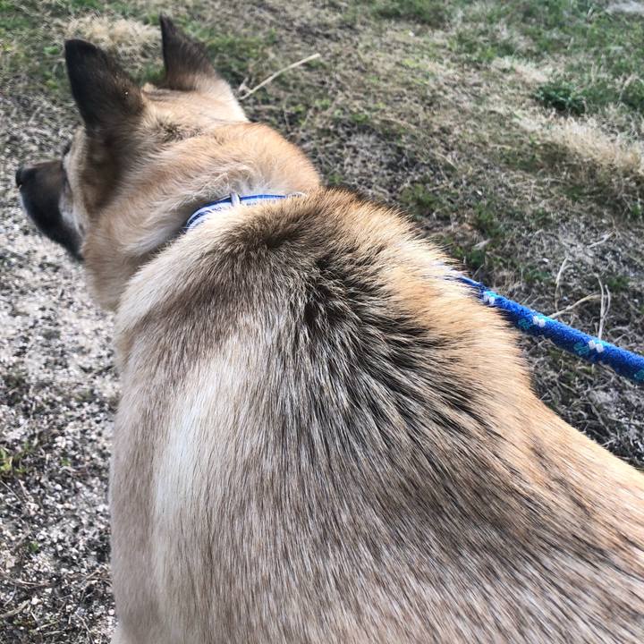 B94514e0 83b3 4f90 9919 c28c2c89fc19 1554204461654