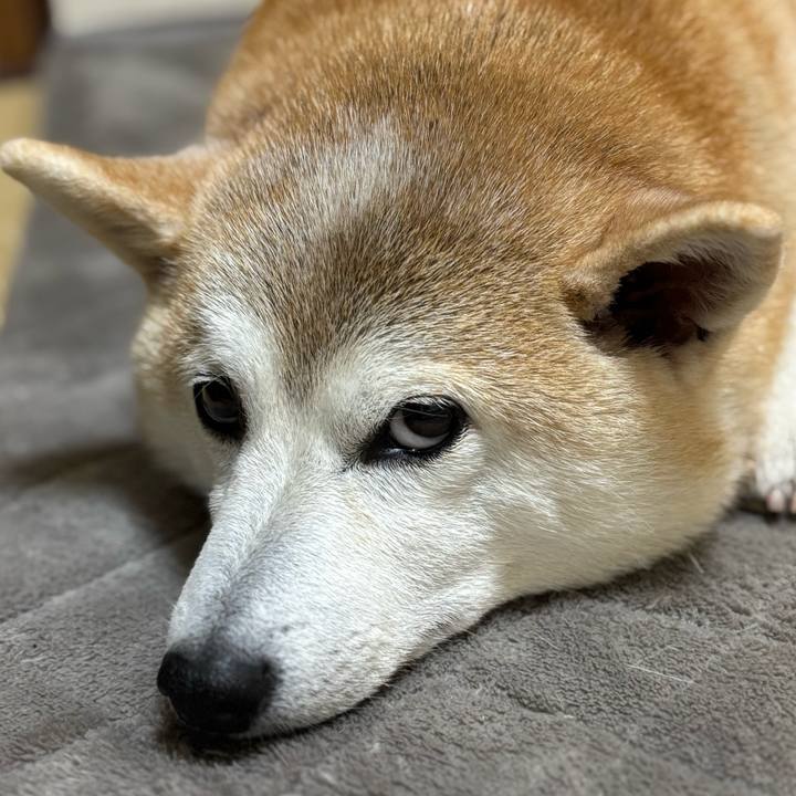 B94515ec 5ffc 4ff1 bbd3 7676c2344c0b 1736195466055