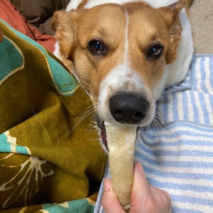 B9452572 d8ec 4e22 b209 81f8e1b629ad 1673840559080