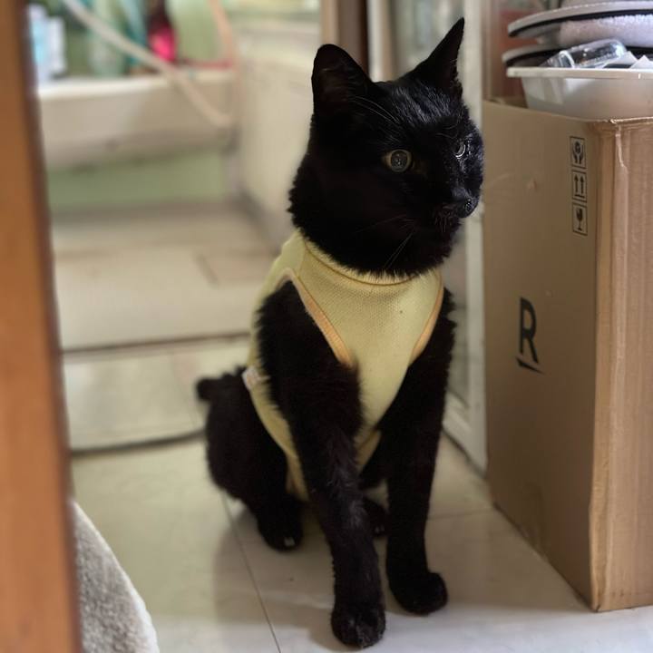 B9452ae0 cfe7 4423 8f81 8843cb025e92 1720404508910