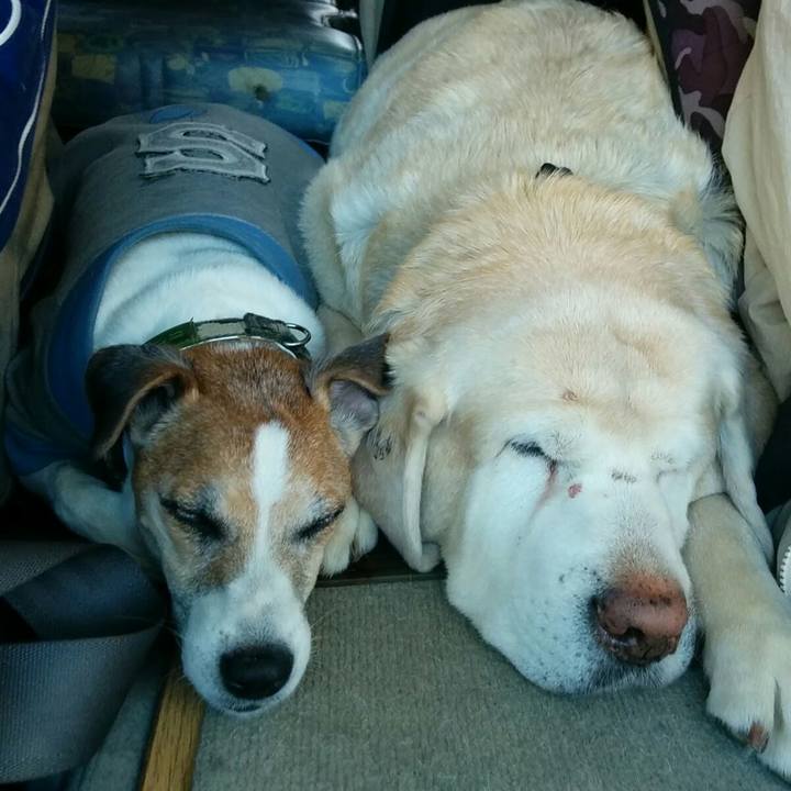 B9453d1d 41d3 4b65 af25 0b1ae8256915 1565608047759