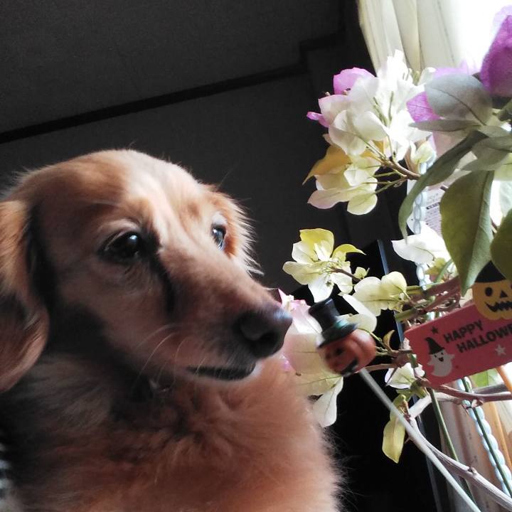 B94554f6 4045 4d36 9504 590afc2f9078 1635664653099