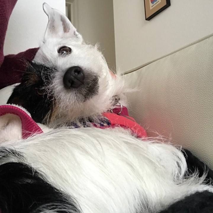 B9458276 52fc 4f53 ba47 a4760a9d5f2f 1517467756080