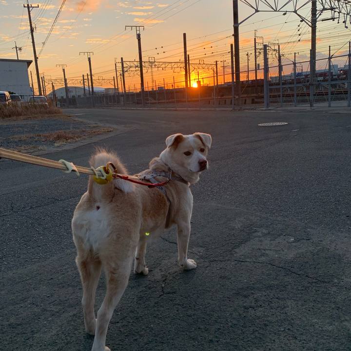 B9458505 f99d 4212 b1aa 83b4da171b23 1578367671107