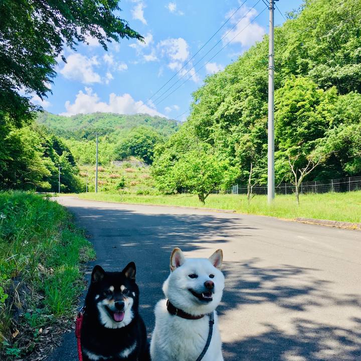 B945bb89 eac1 4524 870f f1dc63d088fc 1590201539498