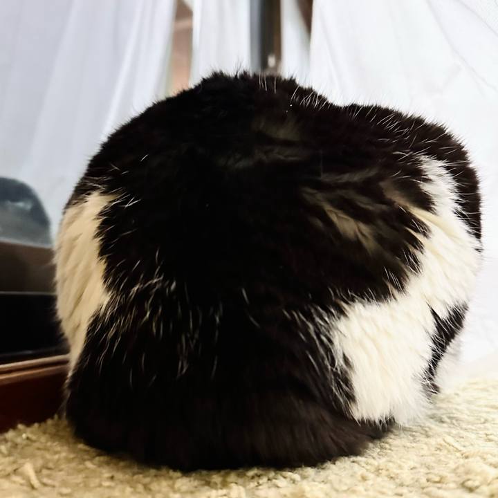 B945bd75 8f94 4471 ad30 9ee7dc81c6ec 1682299343860