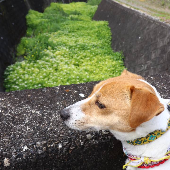 B945bebc 1b27 4bb6 bb25 95f1a156d655 1555741082230