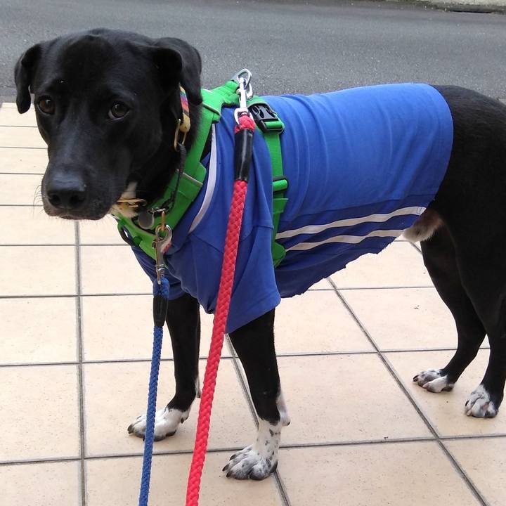 B945c808 c36f 47e5 aff9 77160da4cc93 1592781810303