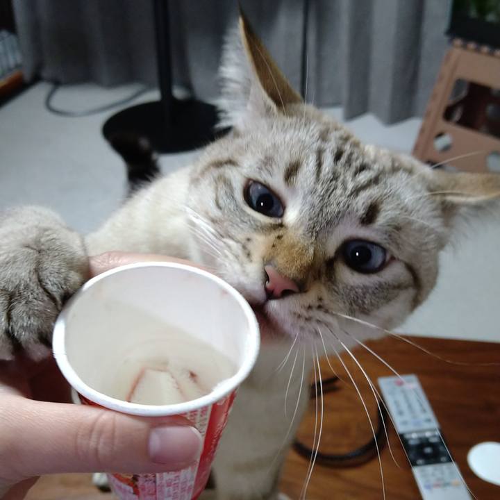 B9462f55 03b5 4021 8510 1c15f3861c48 1635164552987