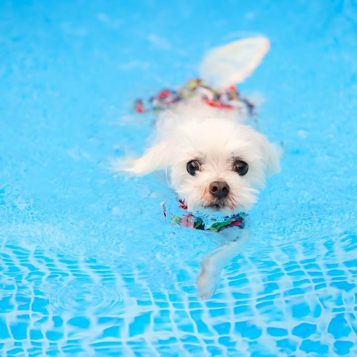 B9464653 e9ed 4a53 9e0b 23d5b23b7194 1725919435741