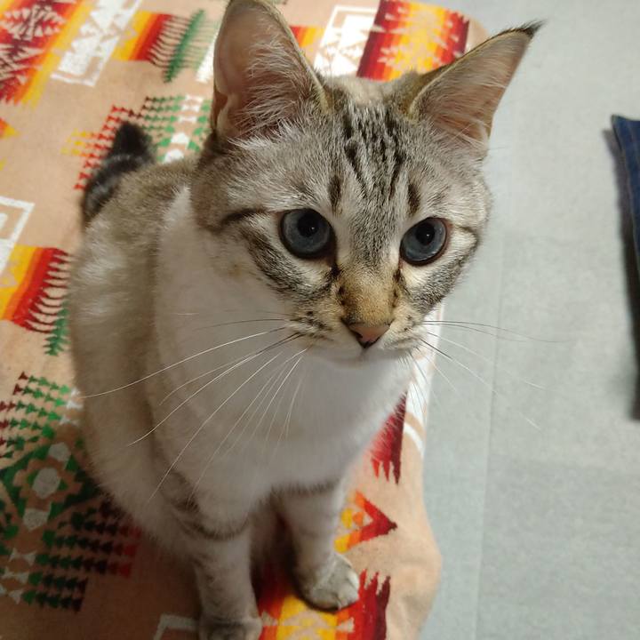 B9464b2b 9aeb 41e1 8f7f 01fe394bb298 1658750816391