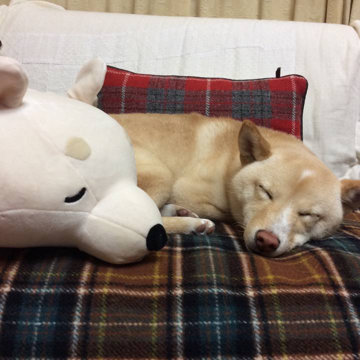 B94657fc 2262 4d9b 9ae3 5abf26ffc858 1511785218997