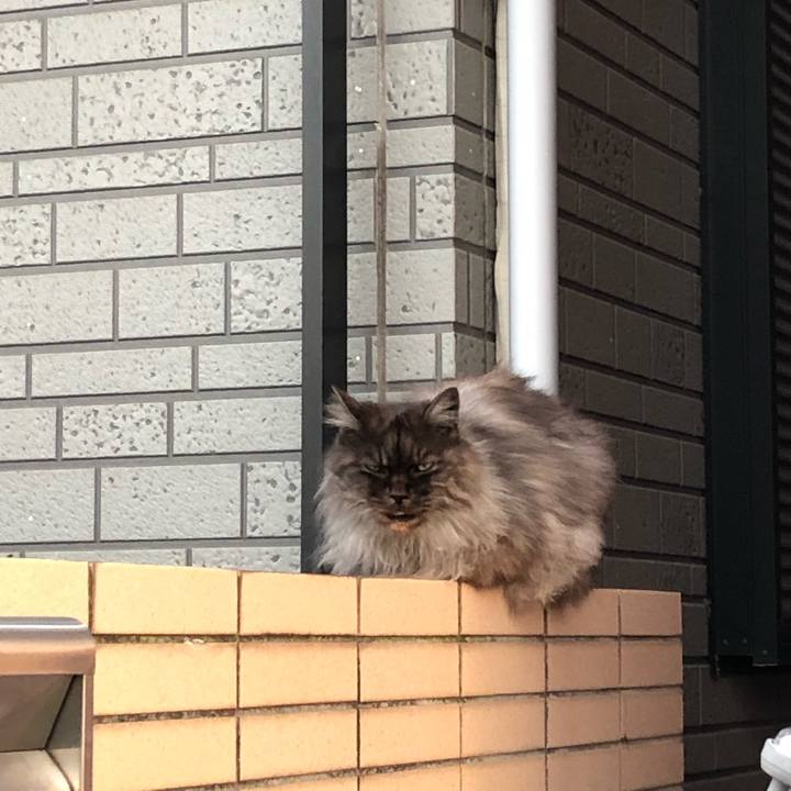 B946684f 978a 4d98 a315 3c61e6db0946 1550221029343