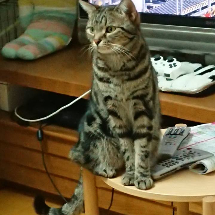 B9466d0b 95d7 4d6c aff6 3128b592caa3 1583935181421