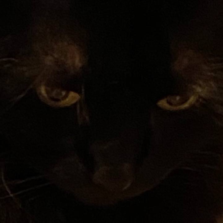 B946bb90 cd40 4749 a34d 64832809d4c5 1601482299364