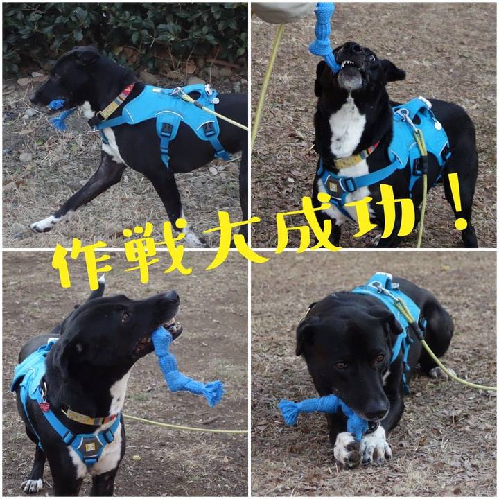 B946c259 e5df 4727 af80 a49b9b77cac2 1612831719164