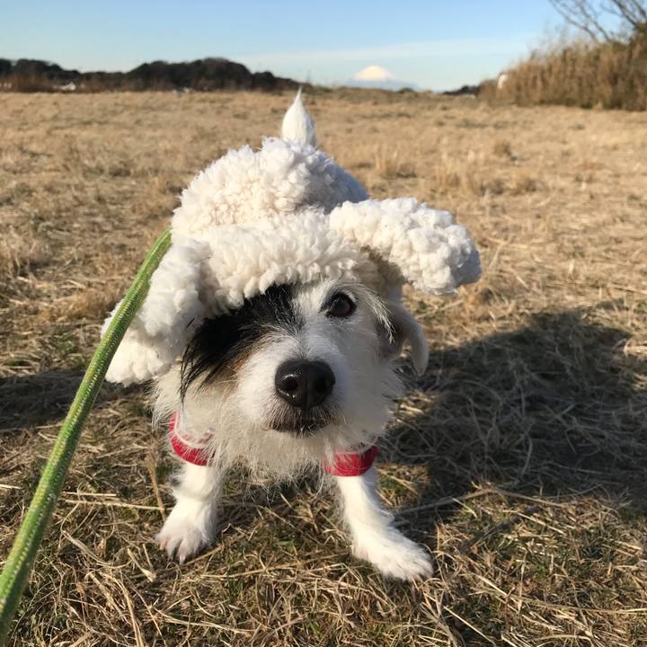 B946c95c 7b21 4919 a84f 269bf7ed6635 1515721150041